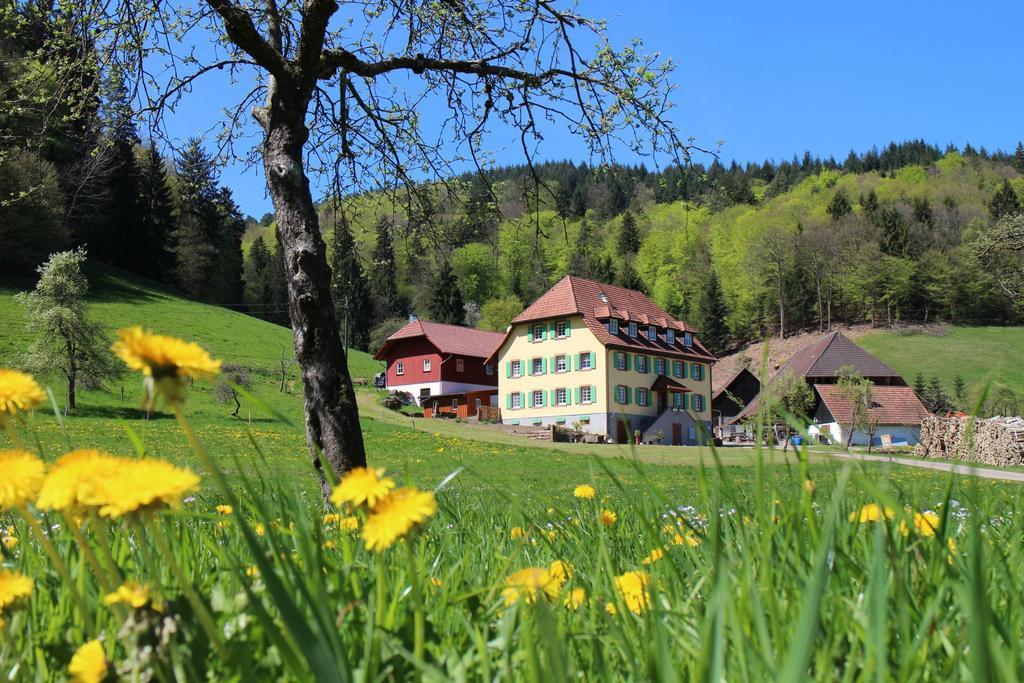 Ferienwohnung Offenburger Hof Schuttertal Exterior foto
